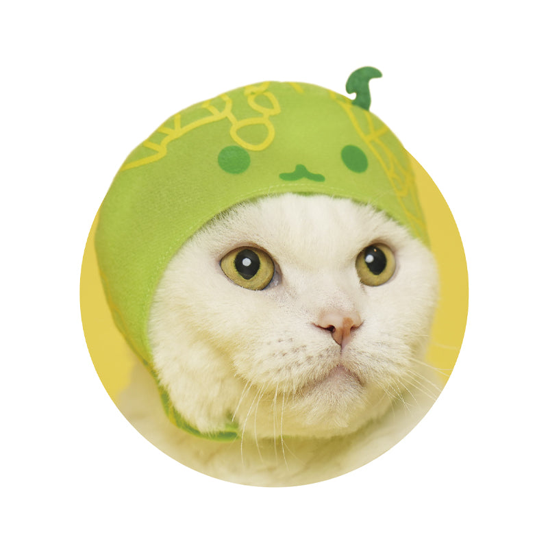 Suika Watermelon Game Kawaii Neko Cat Hat Gacha Gashapon Complete Set