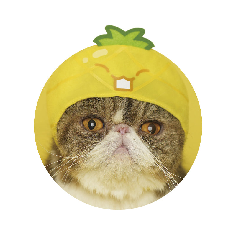 Suika Watermelon Game Kawaii Neko Cat Hat Gacha Gashapon Complete Set