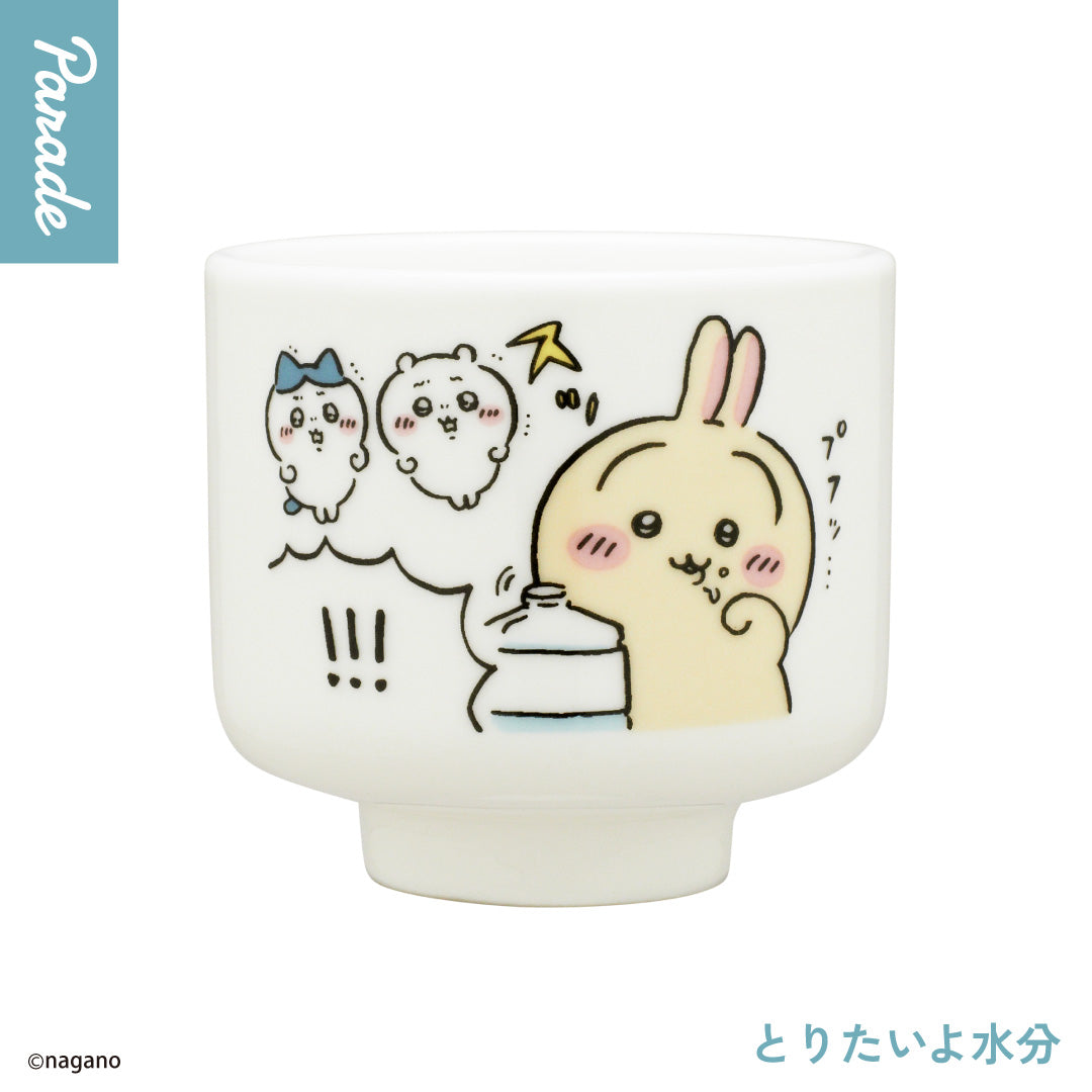 Chiikawa Ochoko 2 Ceramic Sake Cup Gashapon Capsule Toy Complete Set