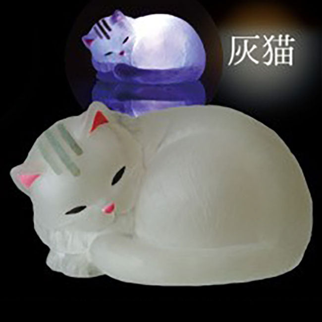 Handheld Lantern Cat Light Up Mini Figure Gashapon Complete Set Gacha