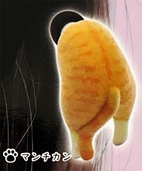 Earplug Cat Flocky Ver. Fuzzy Kitty Butt Ear Accessory Gashapon Complete Set Gacha - GPN-LQL-0001SET