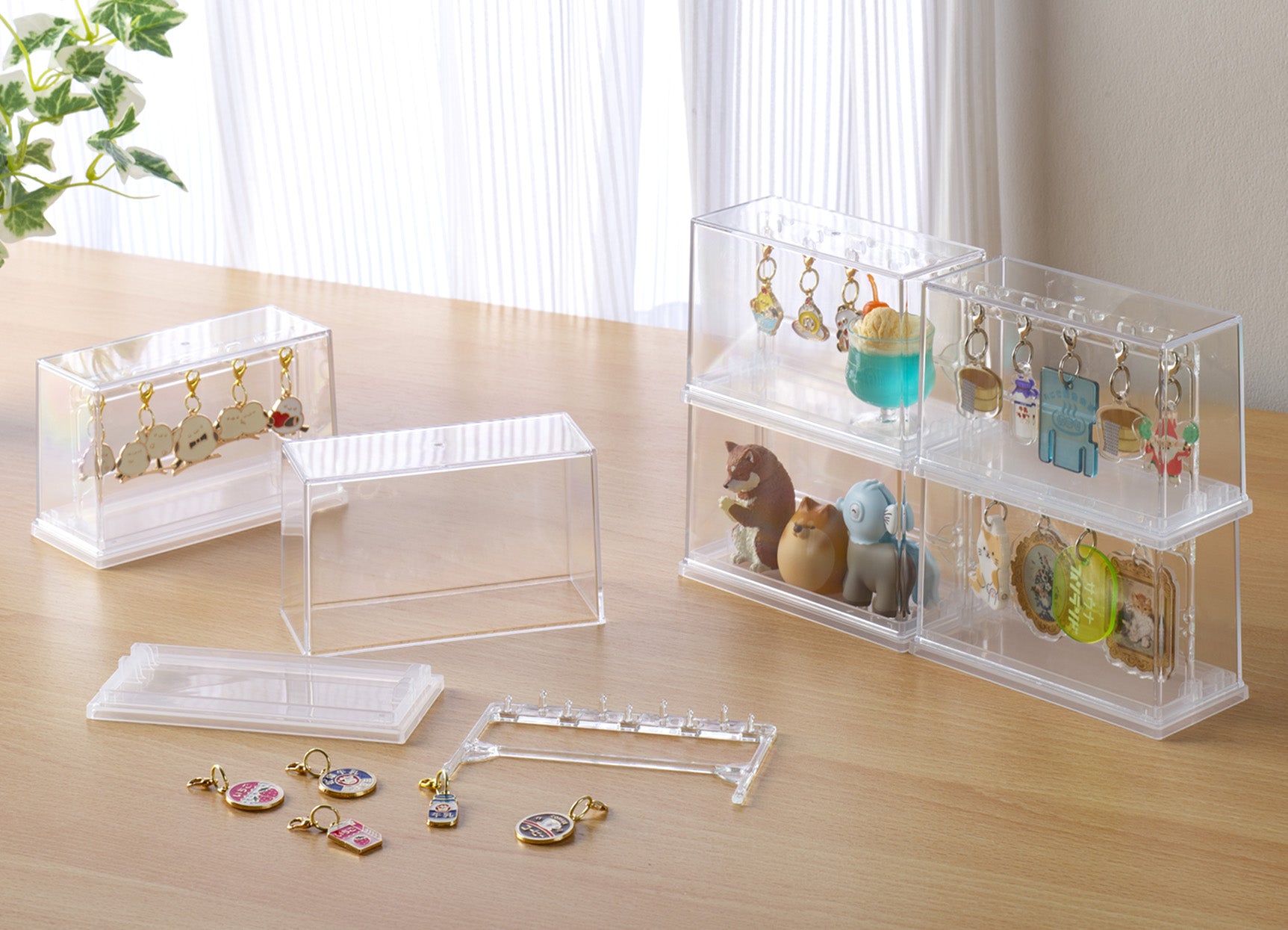 Inomata Gacha Capsule Toy Mini Charm Display Case
