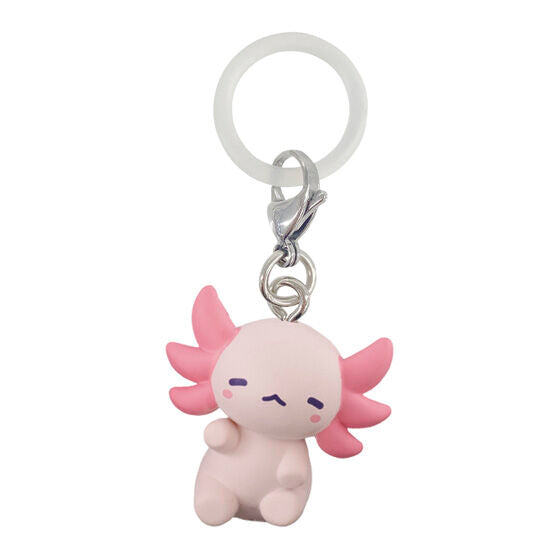 Usarupa Rabbilotl Axolotl Marker Accessory Charm Keychain Gashapon Capsule Toy Complete Set
