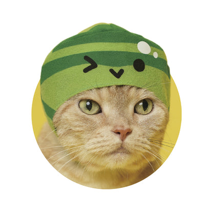 Suika Watermelon Game Kawaii Neko Cat Hat  Gacha Gashapon Complete Set