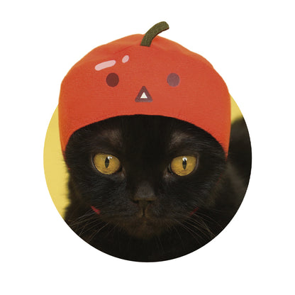 Suika Watermelon Game Kawaii Neko Cat Hat  Gacha Gashapon Complete Set