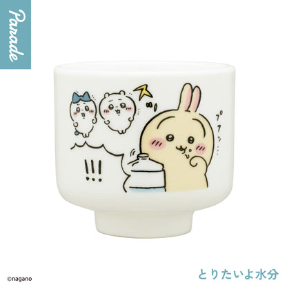 Chiikawa Ochoko 2 Ceramic Sake Cup Gashapon Capsule Toy Complete Set