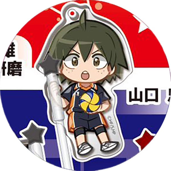 Haikyu!! Decora PIC Acrylic Haikyu!! Vol 2 Standee Pick Keychain Figure Gacha Gashapon Complete Set