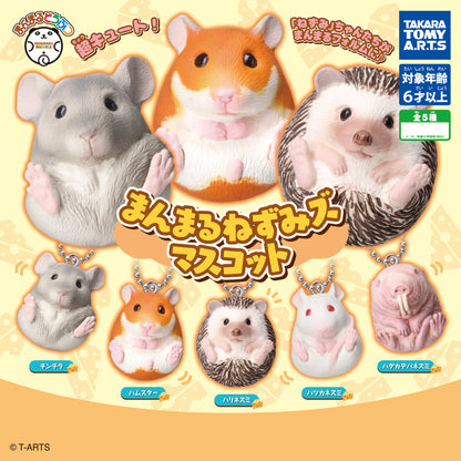 Manmaru Nezumizu Round Animals Mouse Mascot Figure Keychain Gacha Gashapon Complete Set