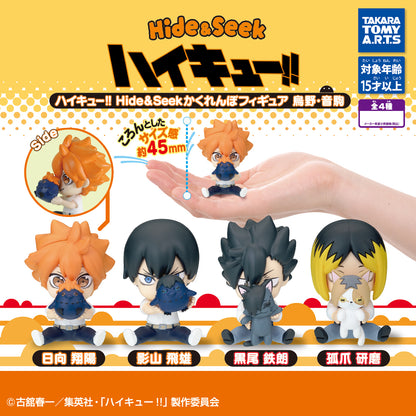 Haikyu !! Hide & Seek Kakurenbo Figure Karasuno & Nekoma High Gashapon Complete Set Gacha