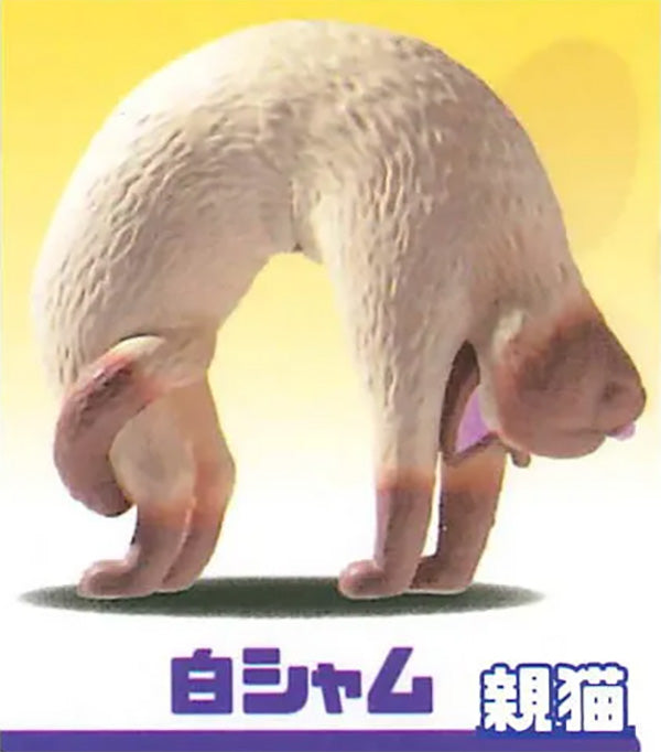 Cat Bridge 2 No More Hunched Backs Mini Figure Gacha Gashapon Complete Set