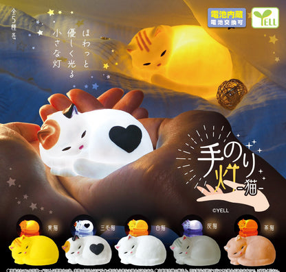Handheld Lantern Cat Light Up Mini Figure Gashapon Complete Set Gacha